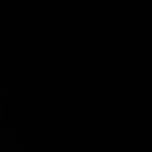 Meet your Posher, Logan